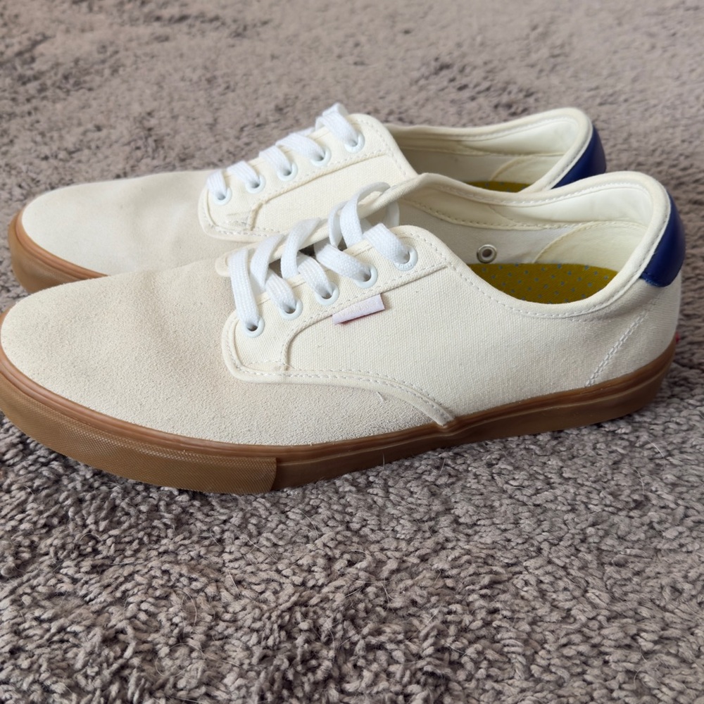 Vans Men’s Authentic Sneaker
